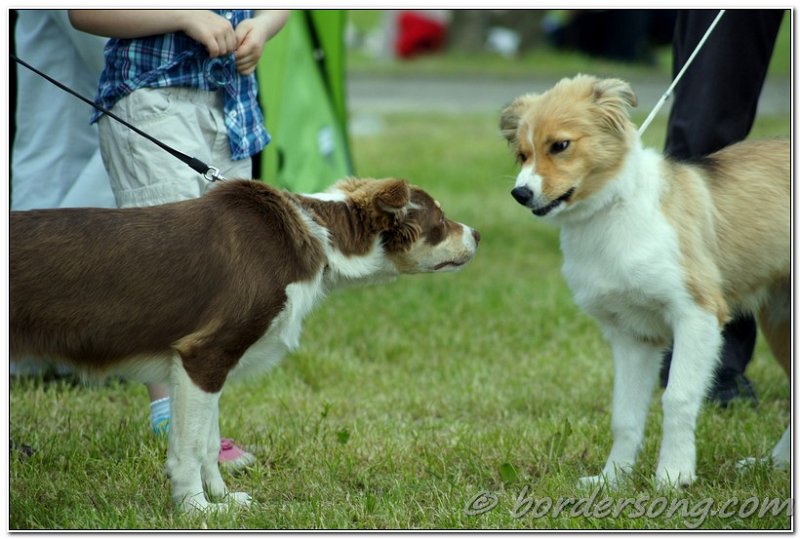 DSC00670.jpg - Nora & Sally