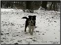 PIC00178